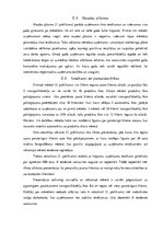 Biznesa plāns 'Biznesa plāns', 28.