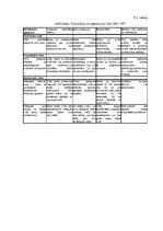 Biznesa plāns 'Biznesa plāns', 30.