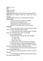 Prakses atskaite 'Aktīvā mācību audzināšanas prakse sākumskolā', 9.