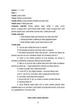 Prakses atskaite 'Aktīvā mācību audzināšanas prakse sākumskolā', 25.