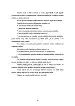 Prakses atskaite 'Aktīvā mācību audzināšanas prakse sākumskolā', 29.