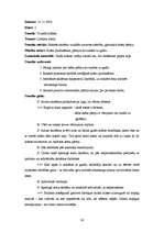 Prakses atskaite 'Aktīvā mācību audzināšanas prakse sākumskolā', 30.