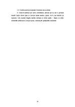 Prakses atskaite 'Aktīvā mācību audzināšanas prakse sākumskolā', 39.