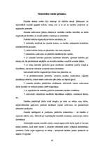 Prakses atskaite 'Aktīvā mācību audzināšanas prakse sākumskolā', 40.