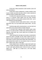 Prakses atskaite 'Aktīvā mācību audzināšanas prakse sākumskolā', 66.