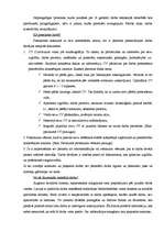 Referāts 'Projekts pedagoģiskā procesa tiesiskajos pamatos', 3.