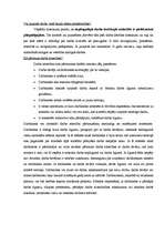 Referāts 'Projekts pedagoģiskā procesa tiesiskajos pamatos', 7.