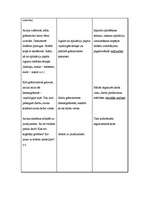 Konspekts 'Integrētā nodarbība "Skolas lietu pasaulē" 1.klasei', 9.