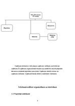 Prakses atskaite 'Grāmatvedība', 9.