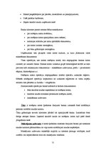 Prakses atskaite 'Grāmatvedība', 31.