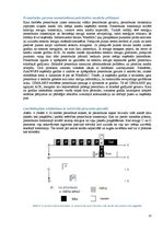 Referāts 'MAC protokolu evolūcija bezvadu sensoru tīklos', 13.