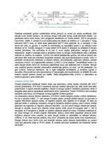 Referāts 'MAC protokolu evolūcija bezvadu sensoru tīklos', 19.