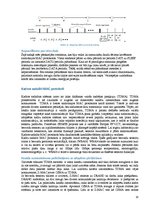 Referāts 'MAC protokolu evolūcija bezvadu sensoru tīklos', 20.