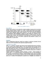 Referāts 'MAC protokolu evolūcija bezvadu sensoru tīklos', 25.