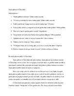 Eseja 'Sajūtu gleznas A.Čaka dzejā', 1.