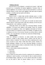 Referāts 'Smērvielu ražotāja "Mobil" mārketinga aktivitātes Latvijā', 8.