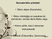 Prezentācija 'Slāvu kultūras reģions', 9.