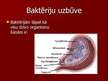 Prezentācija 'Baktēriju raksturojums', 4.