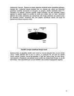 Referāts 'Latvijas tūrisma tēls Somijā', 31.