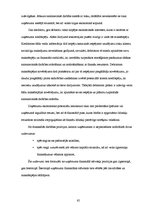 Diplomdarbs 'Debitoru parādu pārvaldīšana Eiropas Savienības tirgus apstākļos', 65.