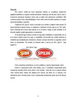 Referāts 'Mārketinga plāns SIA "Spilva"', 9.
