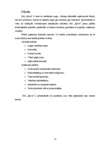 Referāts 'Mārketinga plāns SIA "Spilva"', 16.