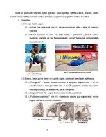 Referāts 'Pludmales volejbola attīstība pasaulē un Latvijā', 8.