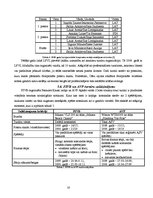 Referāts 'Pludmales volejbola attīstība pasaulē un Latvijā', 16.