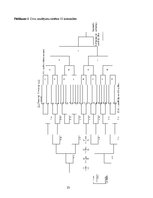 Referāts 'Pludmales volejbola attīstība pasaulē un Latvijā', 23.