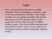 Prezentācija 'Sofija Kinsela "Tikai nevienam nesaki!"', 7.
