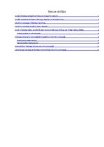 Referāts 'Tūrisma plānošana pašvaldību līmenī Krustpils novadā', 2.