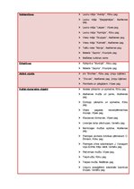 Referāts 'Tūrisma plānošana pašvaldību līmenī Krustpils novadā', 9.