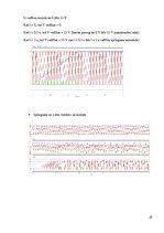 Paraugs 'Vienfāzes taisngriezis ar lejupejošu zāģveida spriegumu', 29.