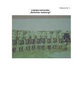 Referāts 'Futbola pirmsākumi Latvijā', 19.