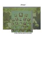 Referāts 'Futbola pirmsākumi Latvijā', 20.