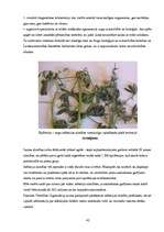 Referāts 'Epidēmijas, epizootijas, epifitotijas', 42.