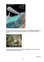 Referāts 'Epidēmijas, epizootijas, epifitotijas', 48.