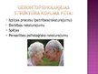 Prezentācija 'Personības vēlīnā brieduma un dzīves noslēguma raksturojums', 3.