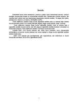 Prakses atskaite 'Prakse lidostas muitā', 1.