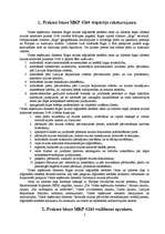 Prakses atskaite 'Prakse lidostas muitā', 2.