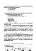 Prakses atskaite 'Prakse lidostas muitā', 3.