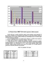 Prakses atskaite 'Prakse lidostas muitā', 6.