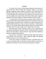 Referāts 'Pasta apmaiņa ar Lielbritānijas un Ziemeļīrijas Apvienoto Karalisti', 4.