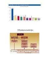 Referāts 'Starptautiskais Valūtas fonds', 3.