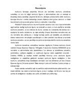 Referāts 'Maģistra darba "Civiltiesiski darījumi publiska iepirkuma rezultātā" 5.nodaļa', 13.