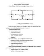 Diplomdarbs 'Uzņēmuma iekšējās un ārējās vides analīze', 3.