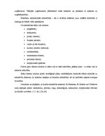 Diplomdarbs 'Uzņēmuma iekšējās un ārējās vides analīze', 5.