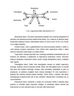 Diplomdarbs 'Uzņēmuma iekšējās un ārējās vides analīze', 6.