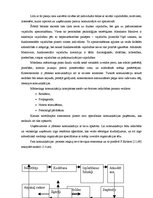 Diplomdarbs 'Uzņēmuma iekšējās un ārējās vides analīze', 17.