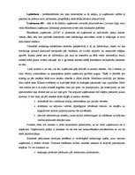 Diplomdarbs 'Uzņēmuma iekšējās un ārējās vides analīze', 30.